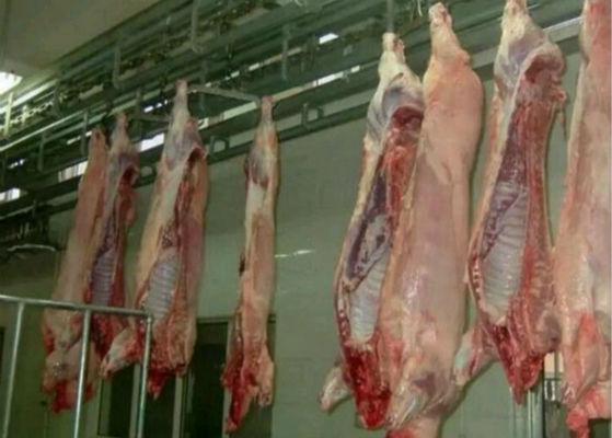 Porcellana Linea di produzione spaccata del pollame della carne di maiale sistema di controllo dello SpA dell'attrezzatura del mattatoio  fornitore