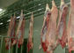 Linea di produzione spaccata del pollame della carne di maiale sistema di controllo dello SpA dell'attrezzatura del mattatoio  fornitore