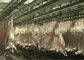Linea spaccata macello di produzione di carne del montone della capra che trasporta intero tipo d'elaborazione fornitore