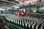 Linea di produzione della birra della bottiglia di vetro imballaggio che trasporta processo 12 mesi di garanzia fornitore