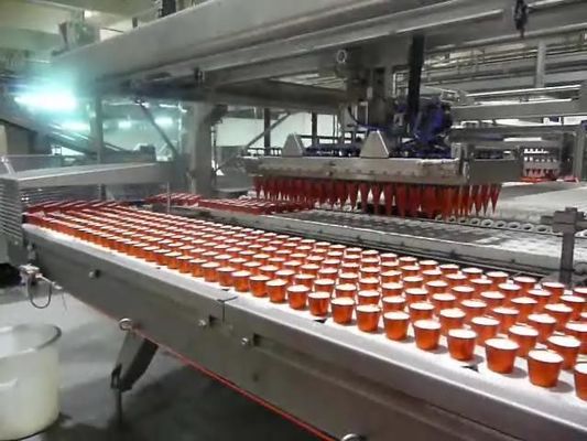 Porcellana Linea di produzione completamente automatica del cono gelato dispositivo trasportatore d'imballaggio fornitore