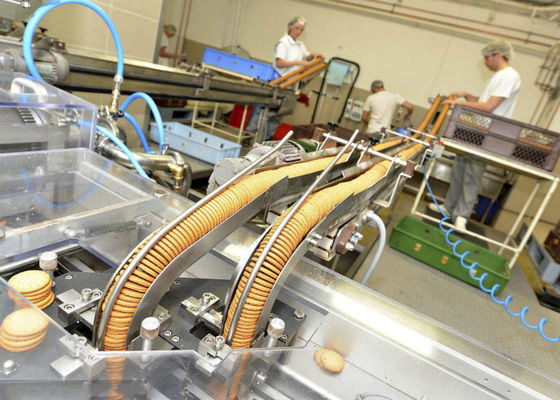 Porcellana Linea di produzione del biscotto del biscotto tempo di impiego lungo d'imballaggio dei sistemi di trasportatore fornitore
