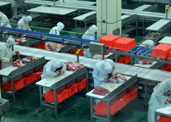 Porcellana La linea spaccata di produzione di carne del manzo/linea di trasformazione 100-300 il bestiame all'ora accelera fornitore