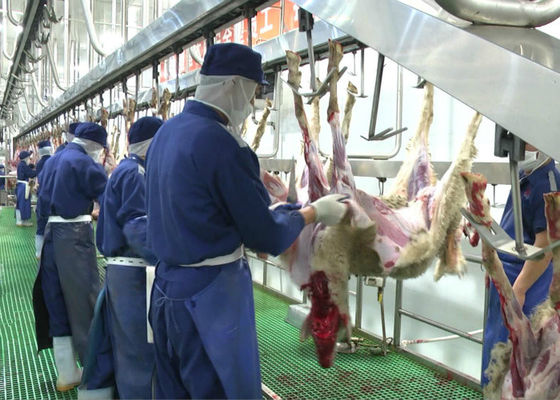Porcellana Linea spaccata macello di produzione di carne del montone della capra che trasporta intero tipo d'elaborazione fornitore