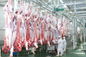 La linea spaccata di produzione di carne del manzo/linea di trasformazione 100-300 il bestiame all'ora accelera fornitore